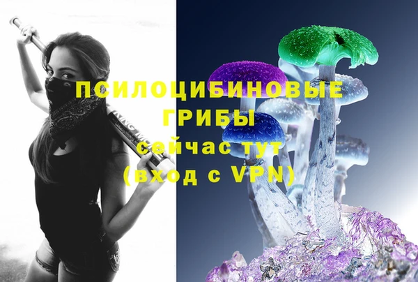 a pvp Богданович