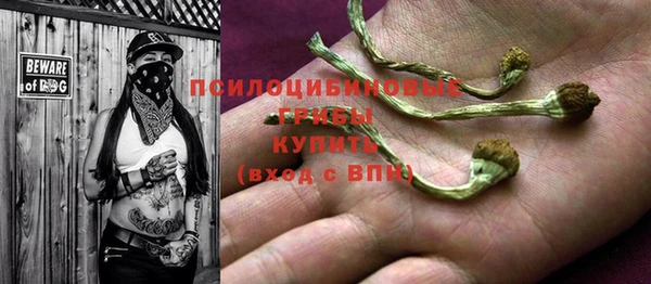 мдма Богородицк