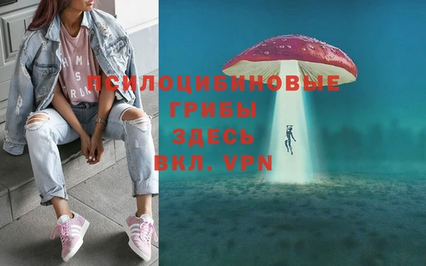 мдма Богородицк