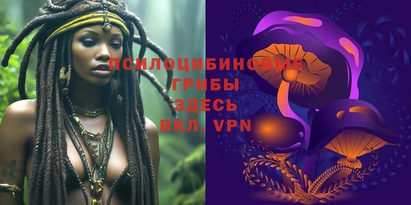 мдма Богородицк