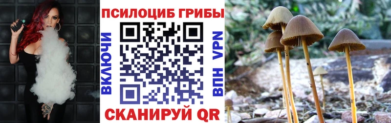 Купить где  Краснозаводск  Галлюциногенные грибы прущие грибы 